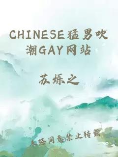 CHINESE猛男吹潮GAY网站